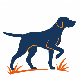  Équipements Chiens