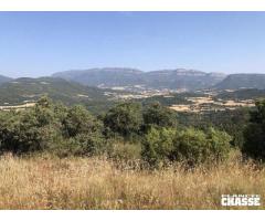 Petit-gibier en Catalogne / Espagne. - 2