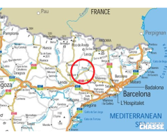 Grives en Catalogne / Espagne - 4