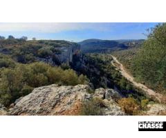 Chasse devant soi au chiens d`arrêt sur Perdrix rouge dans le Maestrazgo / Espagne. - 3
