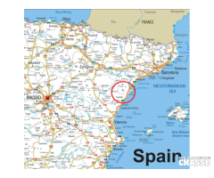 Chasse devant soi au chiens d`arrêt sur Perdrix rouge dans le Maestrazgo / Espagne. - 4