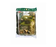 Filet De Camouflage 3 X 2,40 Mètres Vert OD - 2