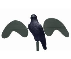 Appelant Corbeau Rotor Stepland Ailes Rotatives Electriques