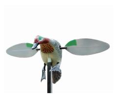 Appelant Mâle Sarcelle Hiver Rotor Stepland Ailes Rotatives Electriques