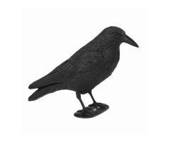 Appelant Corbeau Classique X12