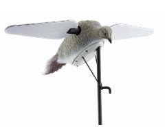 Appelant Ailes Tournantes Tourterelles Lucky Duck