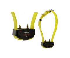 Collier Supplémentaire De Dressage Canicom Num Axes - Version Jaune