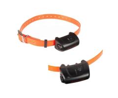Collier Supplémentaire De Dressage Num Axes Canicom 5 - Version Orange