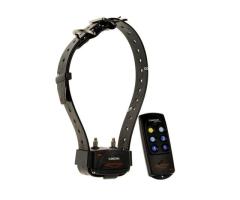 Set De Dressage Num Axes Canicom 200 First