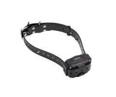 Set De Dressage Num Axes Canicom 200 First - 3