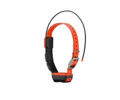 Collier GPS Supplementaire Garmin Alpha T20F