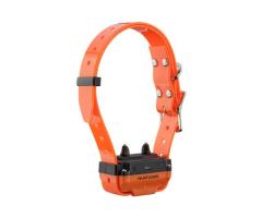 Collier de Dressage Canicom R800 avec Télécommande - 3