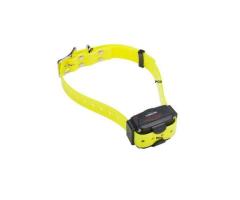 Set De Dressage Num Axes Canicom 1500 2 Chiens - 4