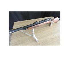 Pack Carabine À Air Comprimé Gamo Riser Punisher + Lunette + Pompe Flex Pcp Arrow + Plombs - G1675p 