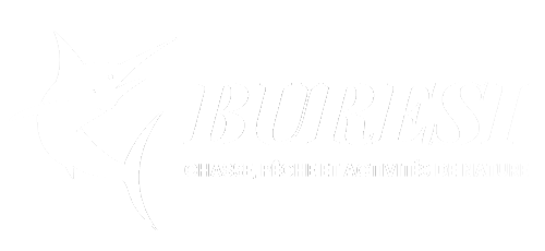 BURESI ARMURERIE