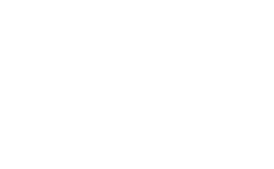 ALEX ARMURERIE